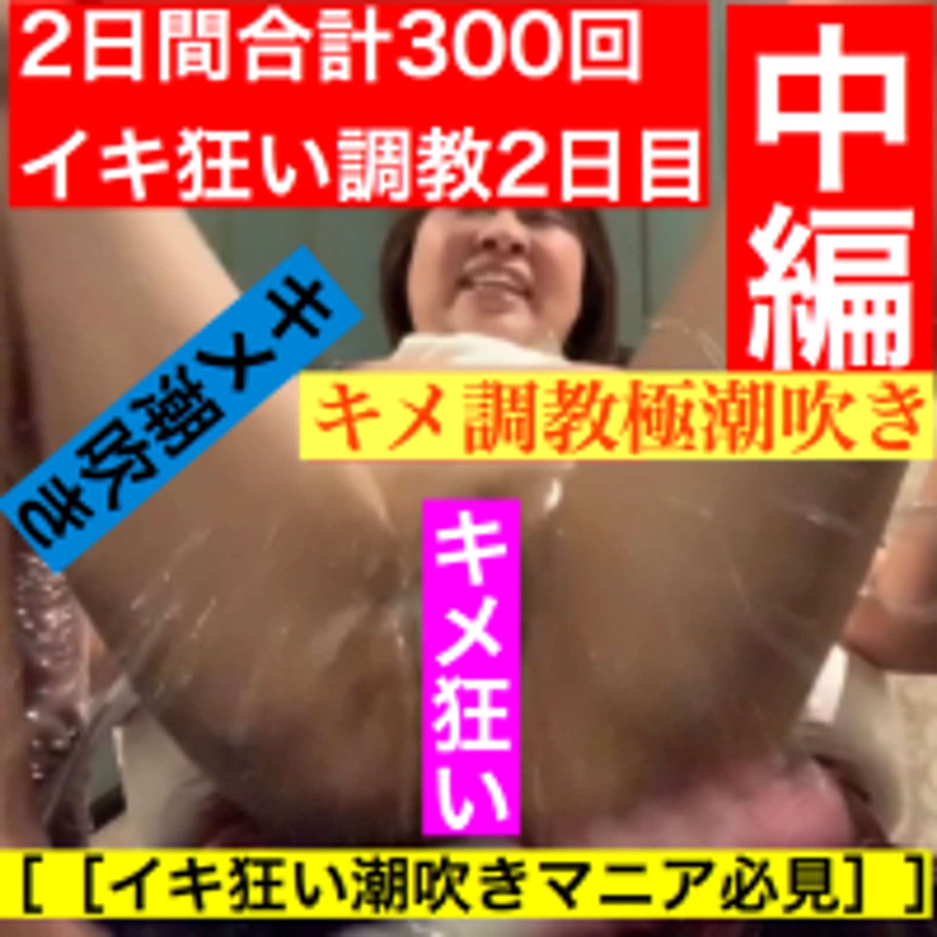 FC2-PPV-1214923 ［全商品1980円SALE開催中］［極限のキメ狂い 2日間で合計300回イキ 2日目中編 ］セクロス先生のキメちゃん連続絶頂変態調教日記 2日間合計300回イキ狂い調教