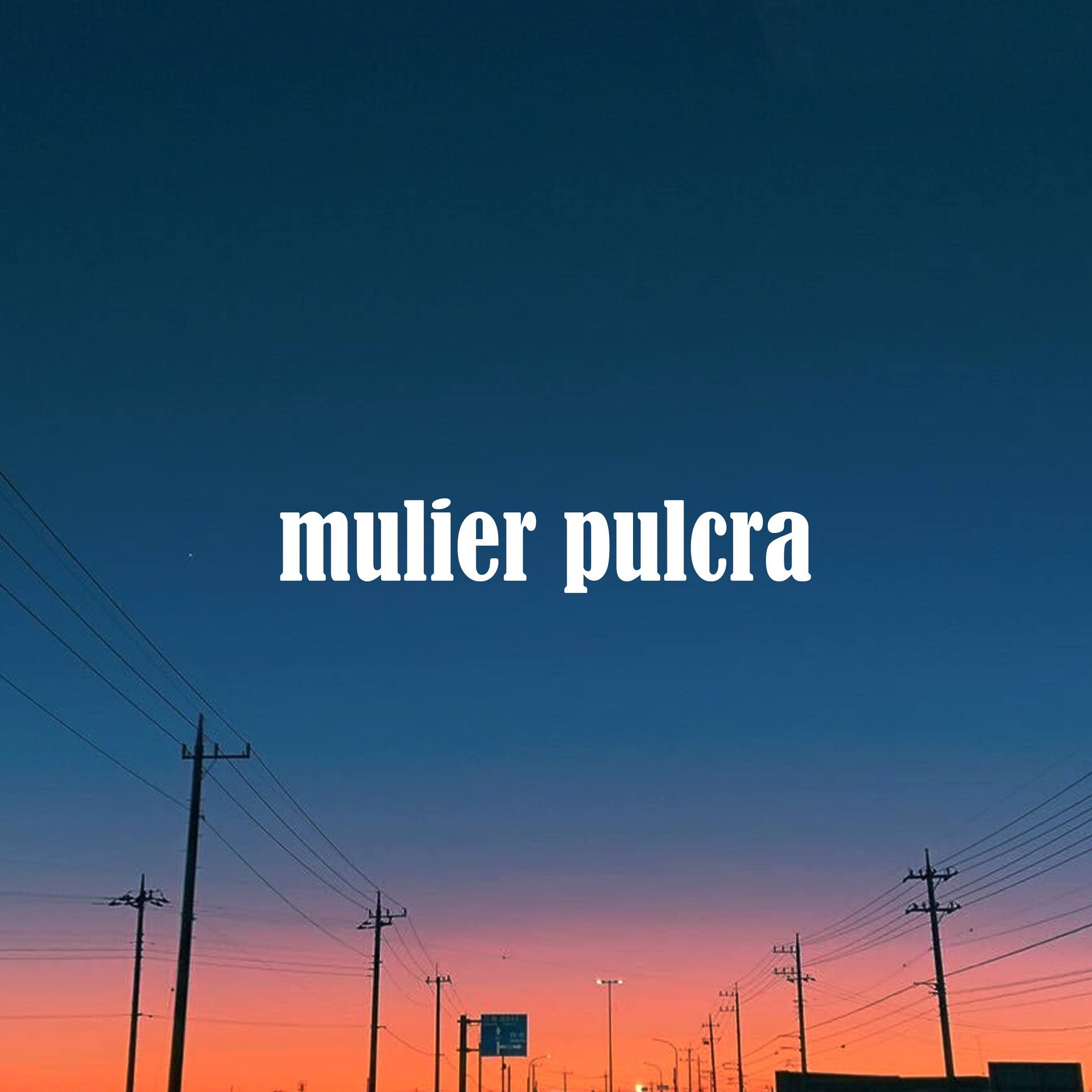 FC2-PPV-3204757 ※4K高画質【mulier pulcra】人気作品メインキャスト多数　アイドル声優X（27歳/161cm）【完全オリジナル作品】