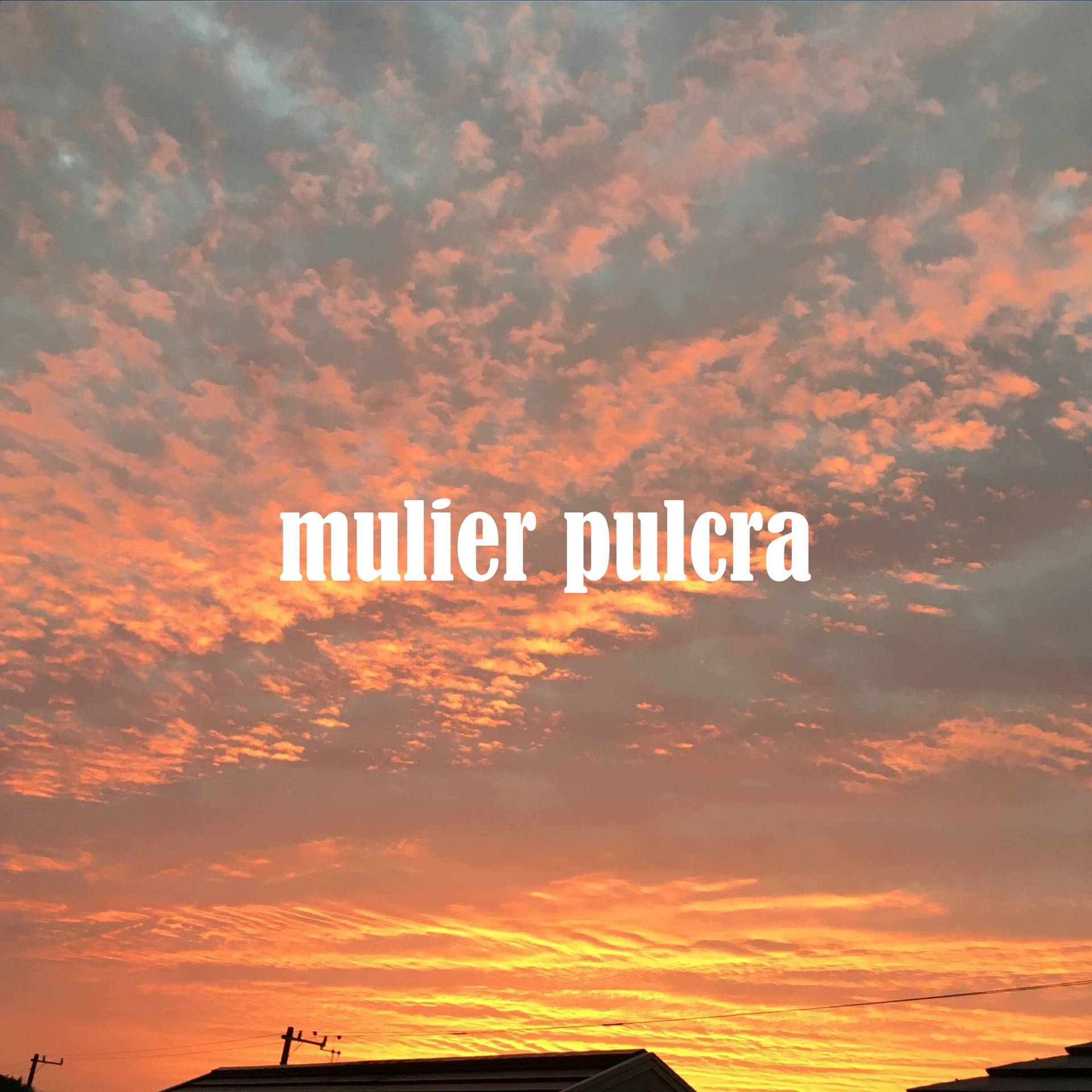 FC2-PPV-3196404 ※4K高画質【mulier pulcra】元国民的アイドルグループ所属　M（27歳/161cm）【完全オリジナル作品】