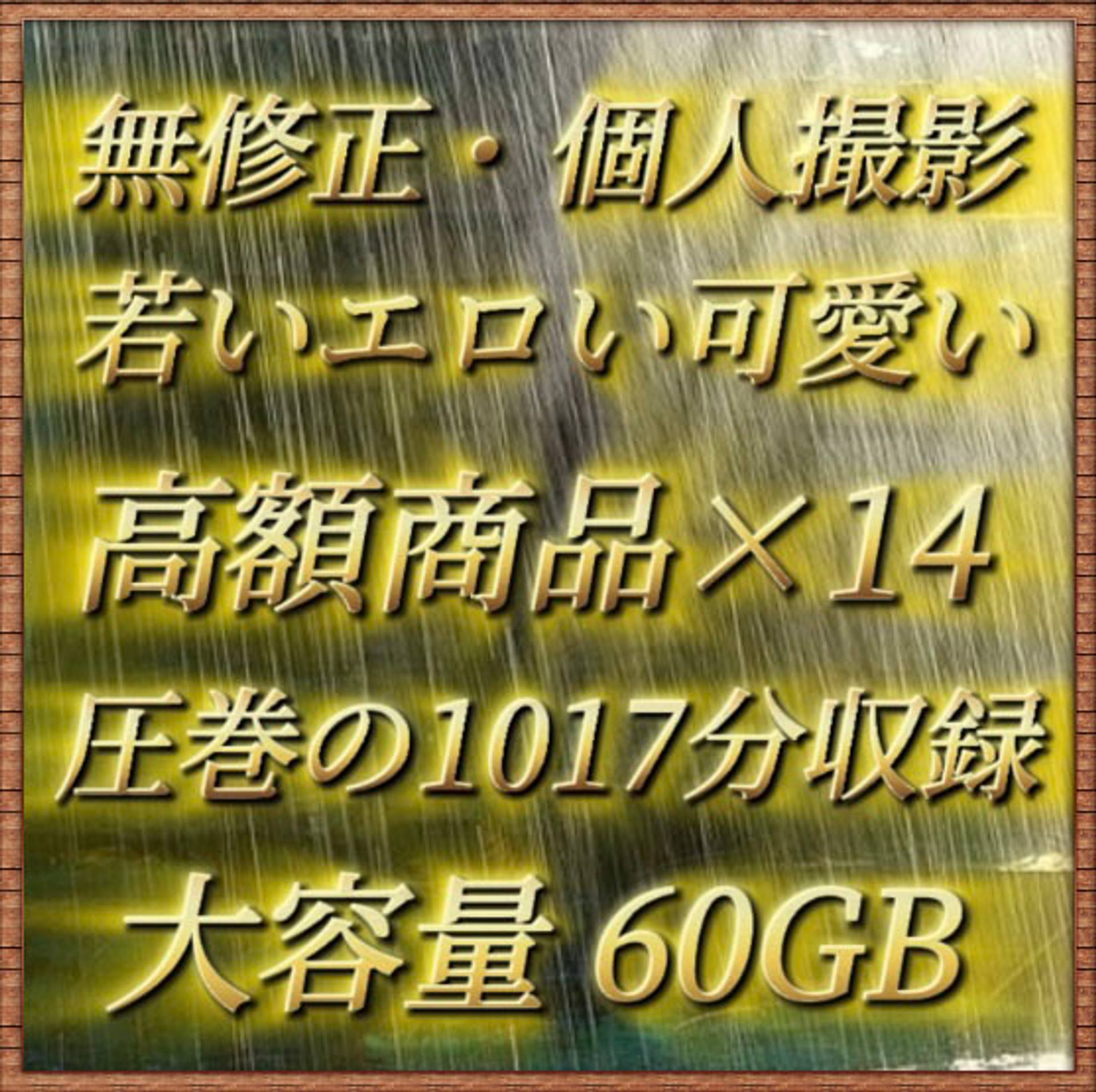 FC2-PPV-3319645 【無修正・６０GB】素人・個人撮影  プレミアムパック 圧巻の1017分収録【期間限定】